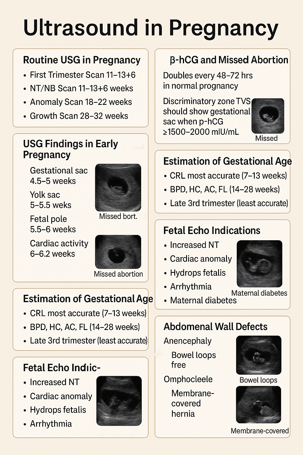 Ultrasound in Pregnancy: Early USG, β-hCG, Missed Abortion, Fetal Anomalies Guide 2025